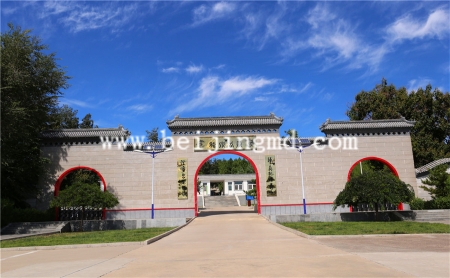 陵园环境
