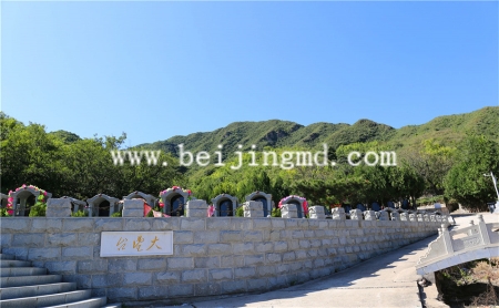 陵园环境