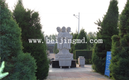 陵园环境