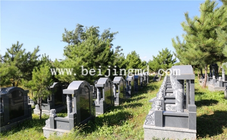 陵园环境