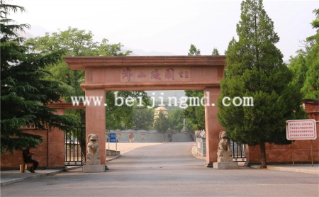 陵园环境