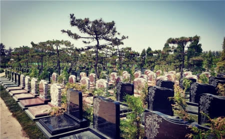 园区墓区展示