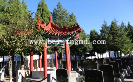 陵园环境