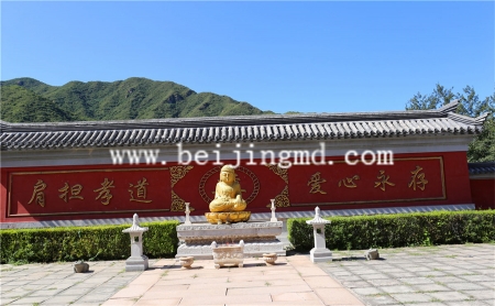 陵园环境