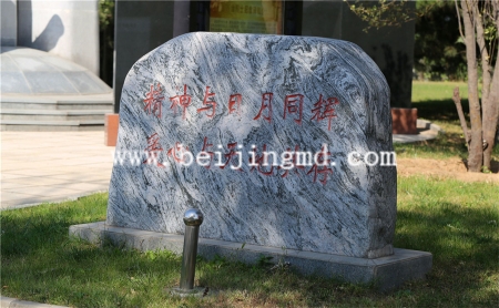 陵园环境