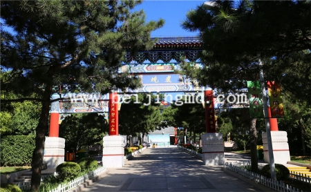 陵园环境