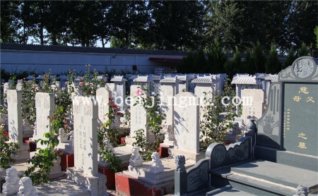 陵园环境