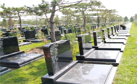 陵园墓区实景