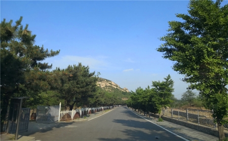 德陵公墓环境