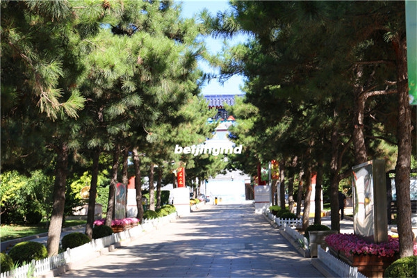 八宝山革命公墓